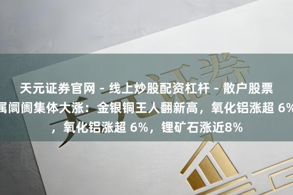 天元证券官网 - 线上炒股配资杠杆 - 散户股票杠杆怎么配资 金属阛阓集体大涨：金银铜王人翻新高，氧化铝涨超 6%，锂矿石涨近8%