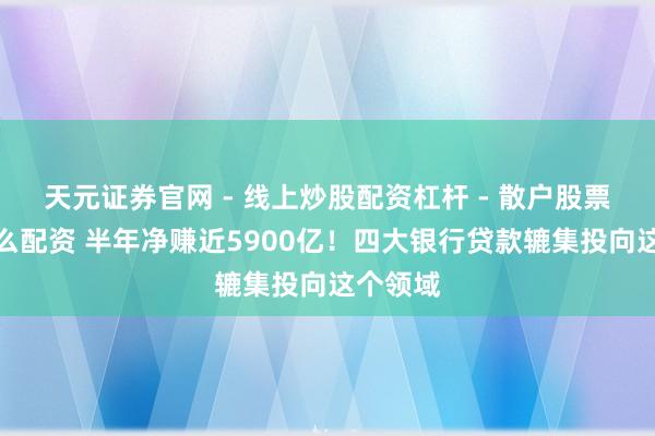 天元证券官网 - 线上炒股配资杠杆 - 散户股票杠杆怎么配资 半年净赚近5900亿！四大银行贷款辘集投向这个领域