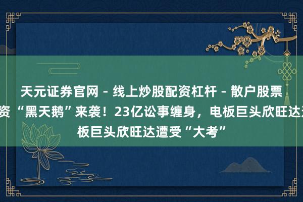 天元证券官网 - 线上炒股配资杠杆 - 散户股票杠杆怎么配资 “黑天鹅”来袭！23亿讼事缠身，电板巨头欣旺达遭受“大考”