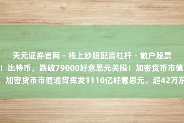 天元证券官网 - 线上炒股配资杠杆 - 散户股票杠杆怎么配资 斯须大跌！比特币，跌破79000好意思元关隘！加密货币市值通宵挥发1110亿好意思元，超42万东说念主爆仓