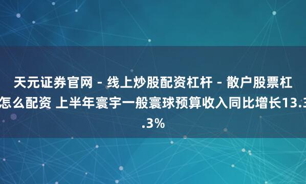 天元证券官网 - 线上炒股配资杠杆 - 散户股票杠杆怎么配资 上半年寰宇一般寰球预算收入同比增长13.3%