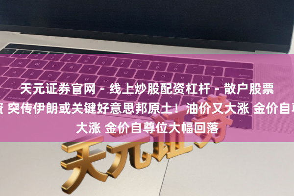 天元证券官网 - 线上炒股配资杠杆 - 散户股票杠杆怎么配资 突传伊朗或关键好意思邦原土！油价又大涨 金价自尊位大幅回落
