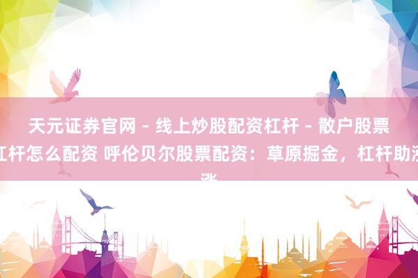 天元证券官网 - 线上炒股配资杠杆 - 散户股票杠杆怎么配资 呼伦贝尔股票配资：草原掘金，杠杆助涨