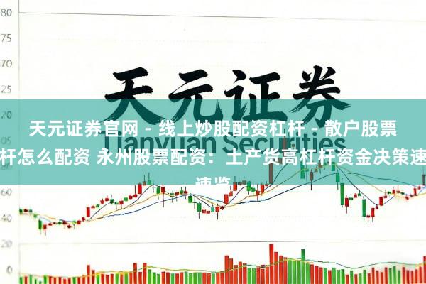 天元证券官网 - 线上炒股配资杠杆 - 散户股票杠杆怎么配资 永州股票配资：土产货高杠杆资金决策速览