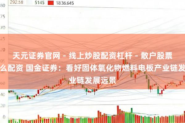 天元证券官网 - 线上炒股配资杠杆 - 散户股票杠杆怎么配资 国金证券：看好固体氧化物燃料电板产业链发展远景