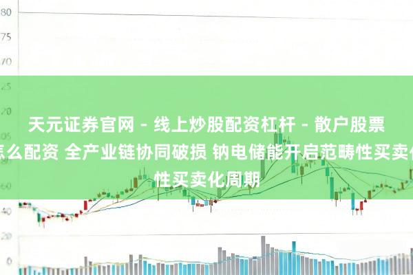 天元证券官网 - 线上炒股配资杠杆 - 散户股票杠杆怎么配资 全产业链协同破损 钠电储能开启范畴性买卖化周期