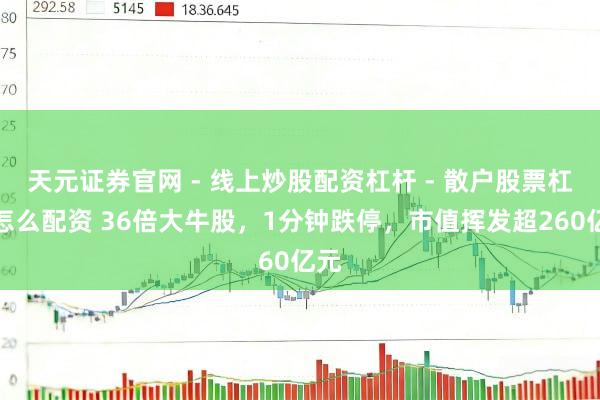 天元证券官网 - 线上炒股配资杠杆 - 散户股票杠杆怎么配资 36倍大牛股，1分钟跌停，市值挥发超260亿元