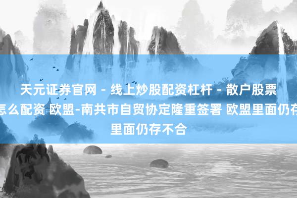 天元证券官网 - 线上炒股配资杠杆 - 散户股票杠杆怎么配资 欧盟-南共市自贸协定隆重签署 欧盟里面仍存不合