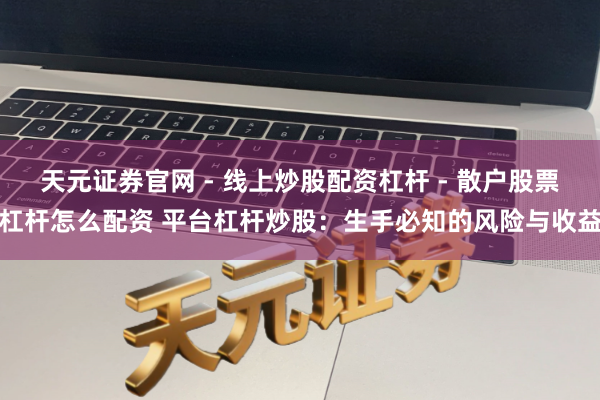 天元证券官网 - 线上炒股配资杠杆 - 散户股票杠杆怎么配资 平台杠杆炒股：生手必知的风险与收益