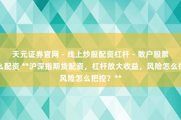 天元证券官网 - 线上炒股配资杠杆 - 散户股票杠杆怎么配资 **沪深指期货配资，杠杆放大收益，风险怎么把控？**
