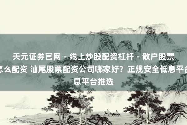 天元证券官网 - 线上炒股配资杠杆 - 散户股票杠杆怎么配资 汕尾股票配资公司哪家好？正规安全低息平台推选